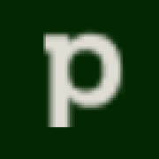 Payset logo